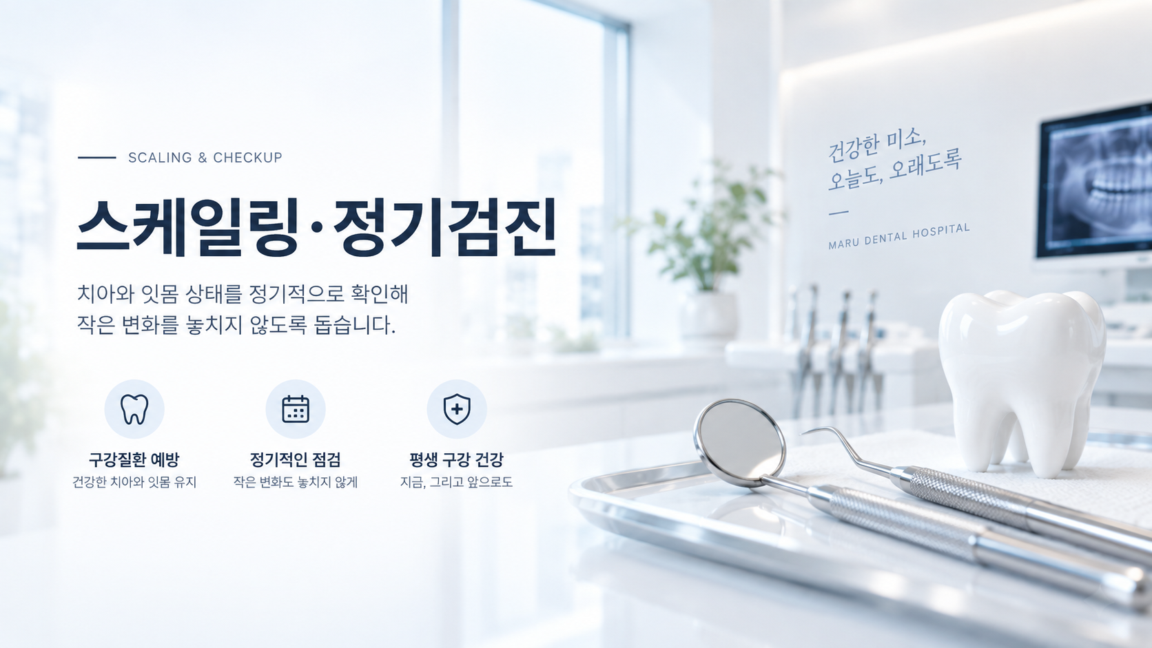 마루치과병원 스케일링·정기검진 안내 배너